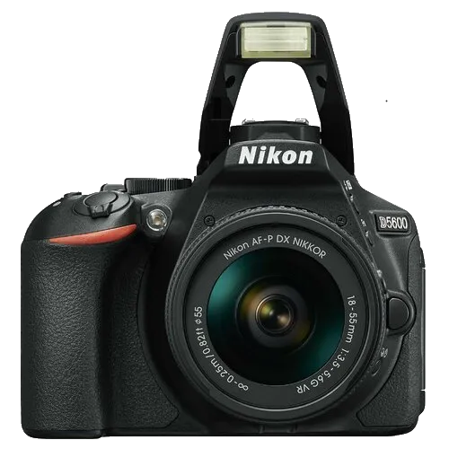 Ремонт фотоаппаратов Nikon D5600 kit 18-55mm VR AF-P в сервисном центре FIX-Nikon